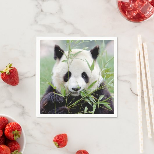Serviette En Papier Napkins Panda géant photo, animaux 0302. (En situation)
