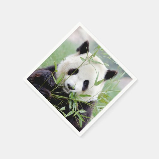 Serviette En Papier Napkins Panda géant photo, animaux 0302. (Coin)