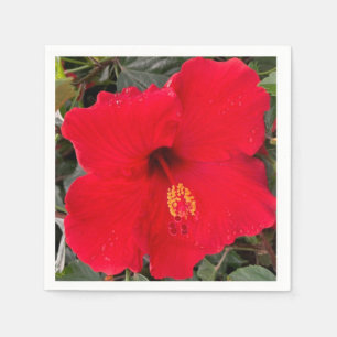 Serviette En Papier Naples Hibiscus rouges