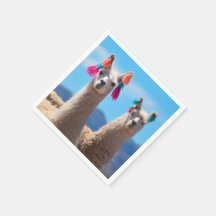 Naples Llama