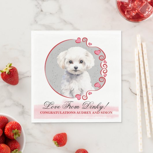 Serviette En Papier Naples Mariages Bichon Frise Avec Chiens Photo (En situation)