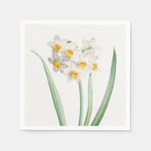 Serviette En Papier Narcisse, Pierre-Joseph Redouté, 1805