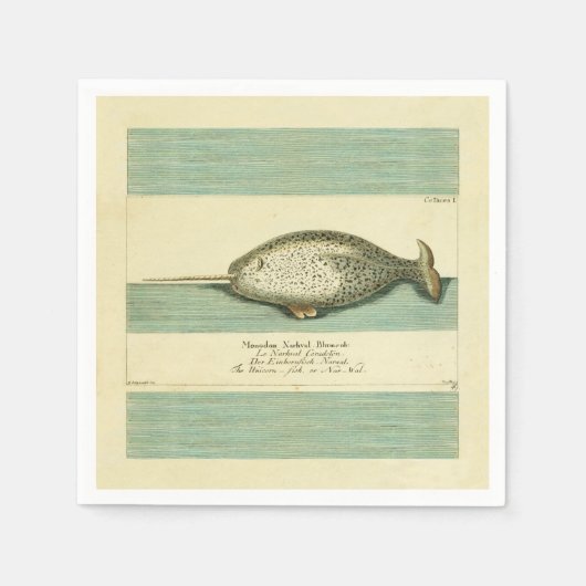 Serviette En Papier Narwhal Antique Baleine Aquarelle Art scientifique (Devant)