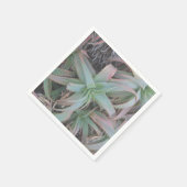 Serviette En Papier Nevada succulents (Coin)