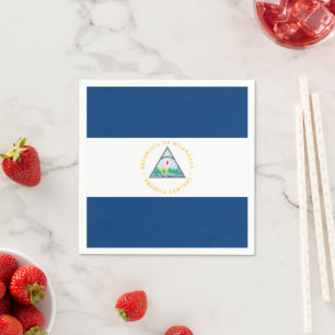 Serviette En Papier Nicaragua Napkins, Parti, Drapeau nicaraguayen
