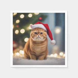 Serviette En Papier Noël Exotique Shorthair