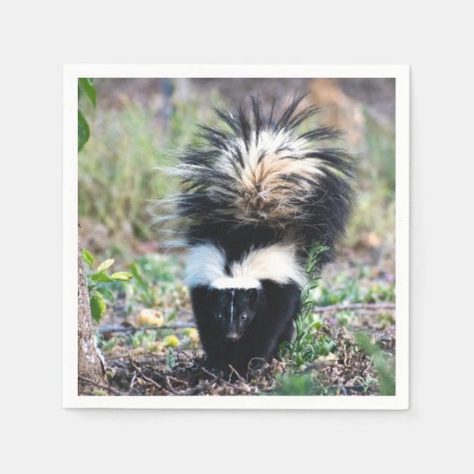 Serviette En Papier Noir et blanc (Devant)