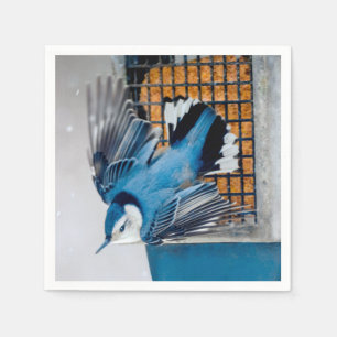 Serviette En Papier Nuthatch à poitrine blanche en neige - Photo origi