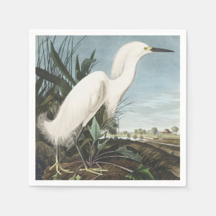 Serviette En Papier Œuvre d'art vintage d'Audubon sur l'aigrette neige