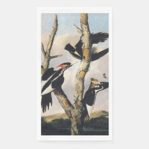 Serviette En Papier Œuvre d'art vintage d'Audubon sur le Pic à bec ivo