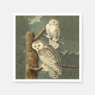 Serviette En Papier OEuvre d'OEuf Audubon