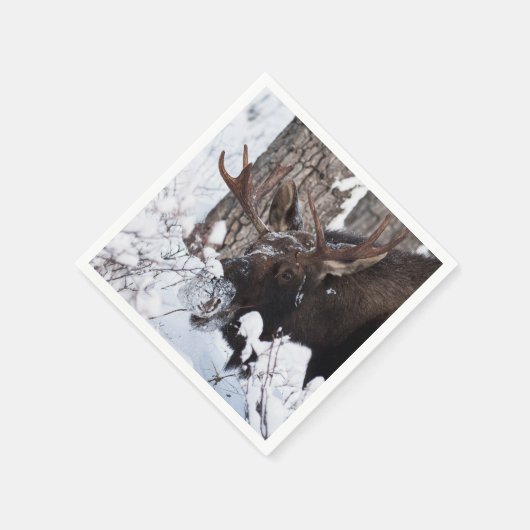 Serviette En Papier Oie chilienne (Coin)