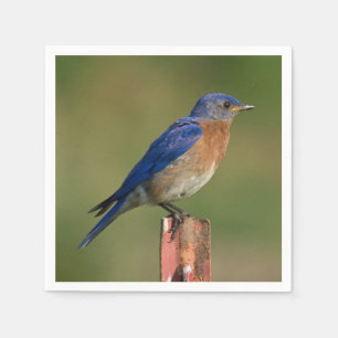 Serviette En Papier Oiseau bleu