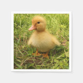Serviette En Papier oiseau, canard, canard, jaune, nature, mignonette, (Devant)
