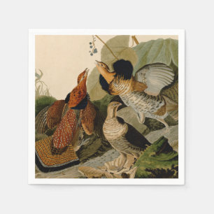 Serviette En Papier Oiseau de gibier Audubon