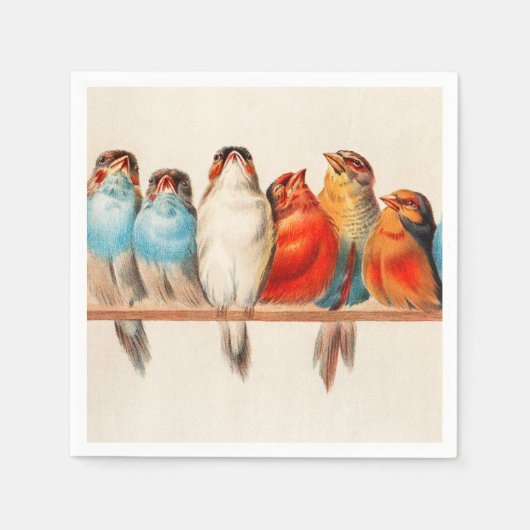 Serviette En Papier Oiseaux Assis joliment et calme (Devant)