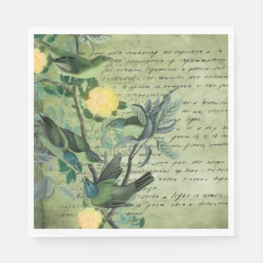 Serviette En Papier Oiseaux verts vintages (Devant)