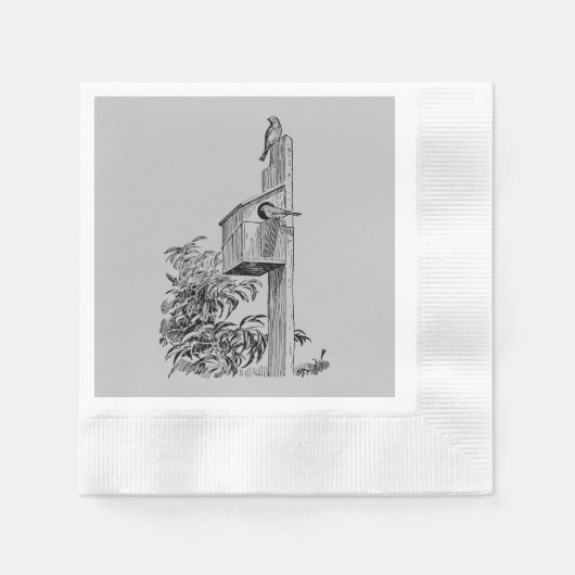 Serviette En Papier Oiseaux vintages et Argent Birdhouse (Devant)
