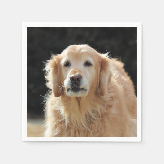 Serviette En Papier Oldie Golden (Devant)