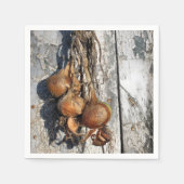 SERVIETTE EN PAPIER ONIONS (Devant)