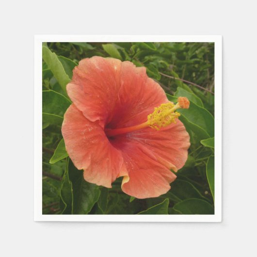 Serviette En Papier Orange Hibiscus Fleur Tropical Floral (Devant)