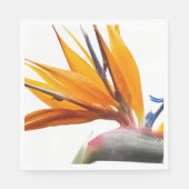 Serviette En Papier Orange Oiseau du Paradis Floral Plante (Devant)