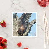 SERVIETTE EN PAPIER ORANGUTANS (En situation)