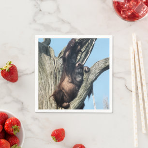 SERVIETTE EN PAPIER ORANGUTANS