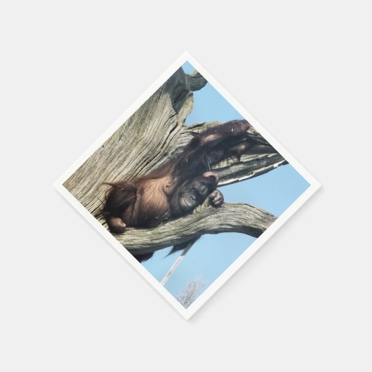 SERVIETTE EN PAPIER ORANGUTANS (Coin)
