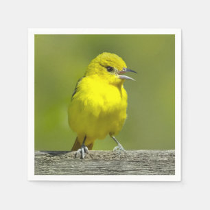 Serviette En Papier Orchard Oriole - Photo originale