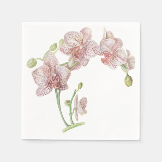 Serviette En Papier Orchidée illustrée à la main (Devant)