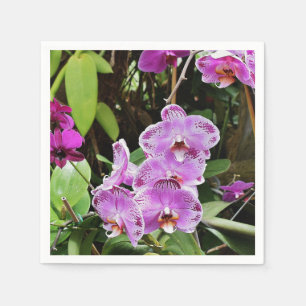 Serviette En Papier Orchidées