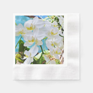 Serviette En Papier Orchidées blanches