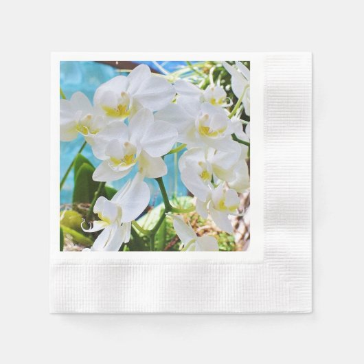 Serviette En Papier Orchidées blanches (Devant)