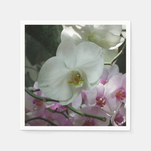 Serviette En Papier Orchidées blanches et violettes (Devant)