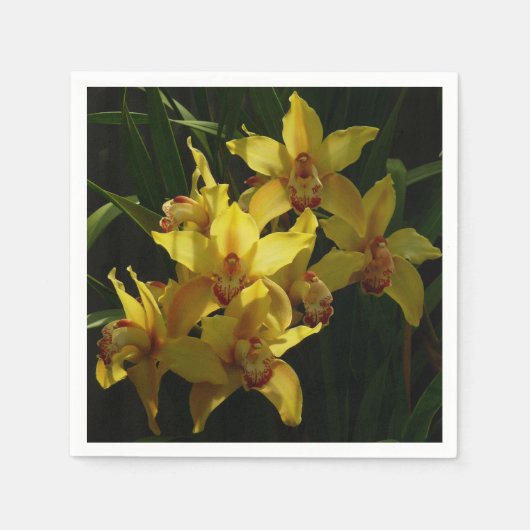 Serviette En Papier Orchidées Jaunes Sunlit Floral (Devant)