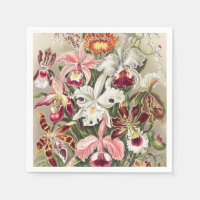 Orchidées, Orchideae Denusblumen par Ernst Haeckel