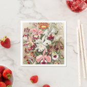 Serviette En Papier Orchidées, Orchidée Denusblumen par Ernst Haeckel (En situation)