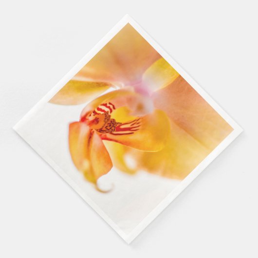 Serviette En Papier Orquídea (Coin)