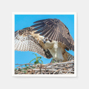 Serviette En Papier Osprey juvénile dans le nid