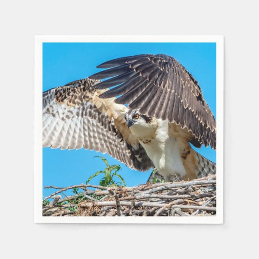 Serviette En Papier Osprey juvénile dans le nid (Devant)