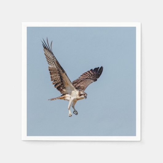 Serviette En Papier Osprey juvénile en vol (Devant)