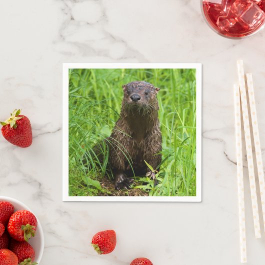 Serviette En Papier Otter (En situation)