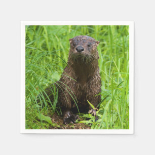 Serviette En Papier Otter