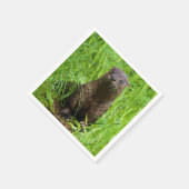 Serviette En Papier Otter (Coin)