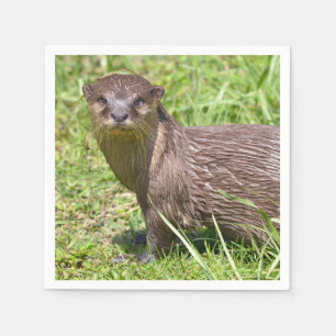 Serviette En Papier Otter à petite taille orientale dans l'herbe
