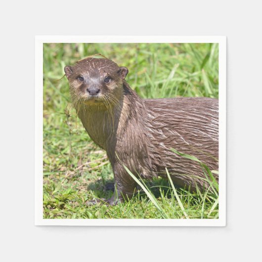 Serviette En Papier Otter à petite taille orientale dans l'herbe (Devant)