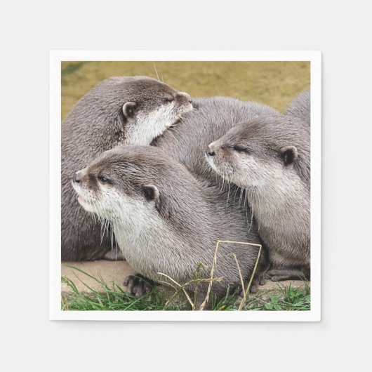 SERVIETTE EN PAPIER OTTERS COUPÉS (Devant)