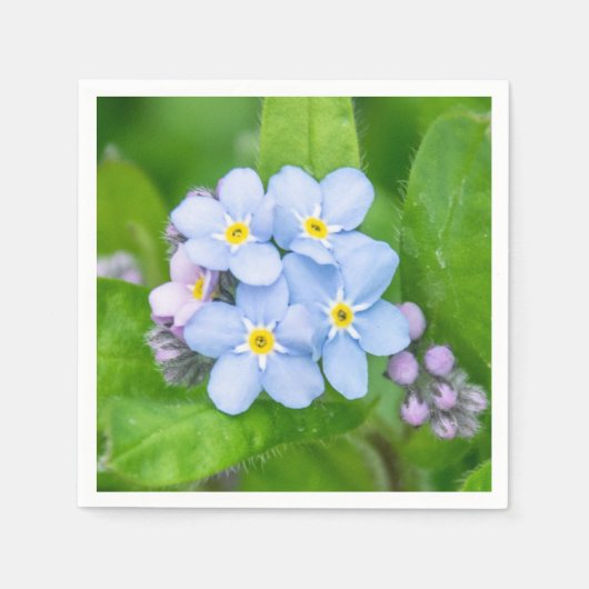 Serviette En Papier Oubliez-moi-non, Papier Napkin (Devant)