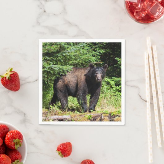 Serviette En Papier Ours noir Alpha (En situation)